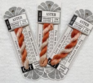 Cottage Garden Threads Aster