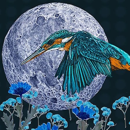 Kingfisher Workshop with Nigel Cheney on Saturday 12th September - Image 2