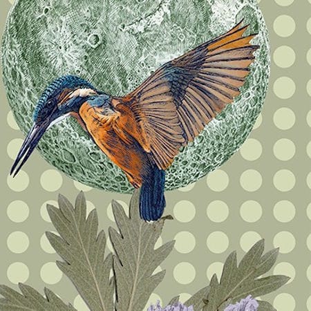 Kingfisher Class with Nigel Cheney