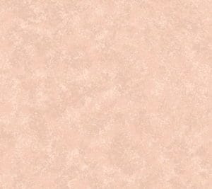 Makower Spraytime Nude