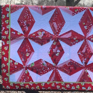 Strips that Sizzle day class with Janet Goddard at Poppy Patch