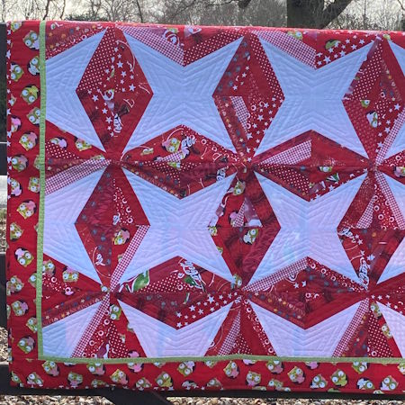 Strips that Sizzle day class with Janet Goddard at Poppy Patch