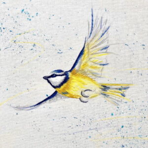 The Bluebird Embroidery Company Colour in Flight Bluetit paint with stitch Kit