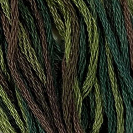 Valdani 6 Stranded Variegated Embroidery Thread Backyard Greenfield