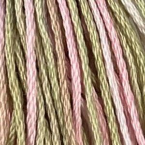 Valdani 6 stranded variegated embroidery thread early spring